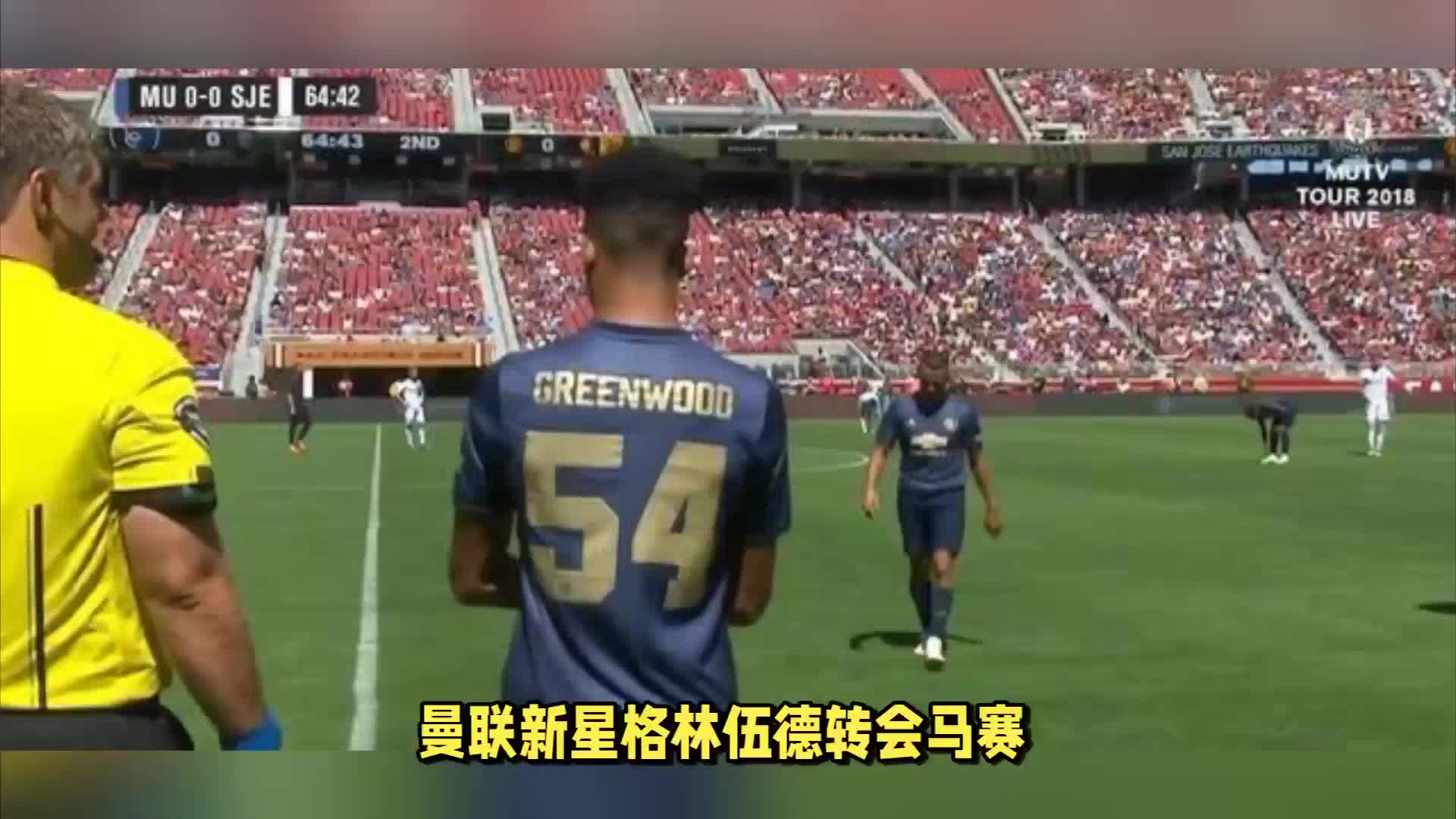 他成功跻