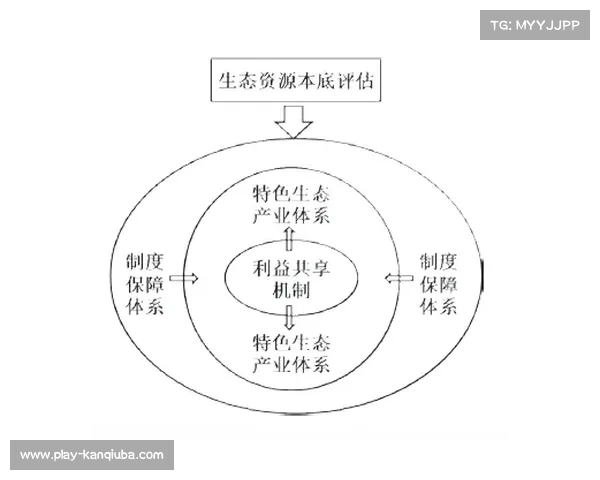 聚焦正式比赛全流程探索与参与价值提升的实践与策略分析