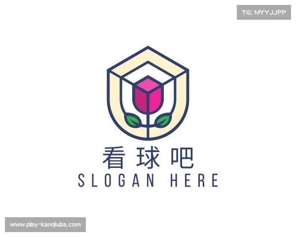 介绍看球吧